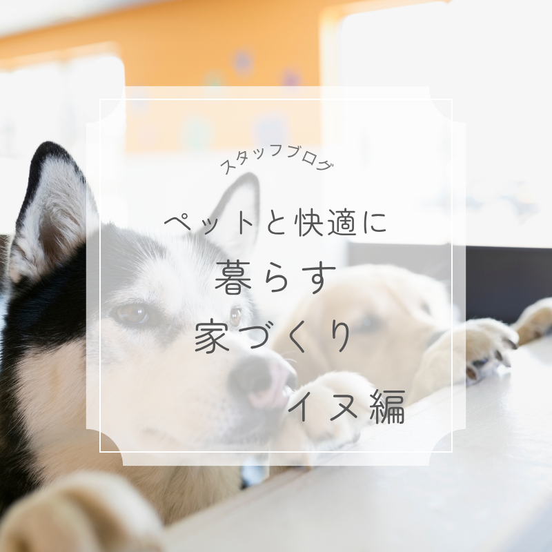 ペットと快適に暮らす家づくり【イヌ編】